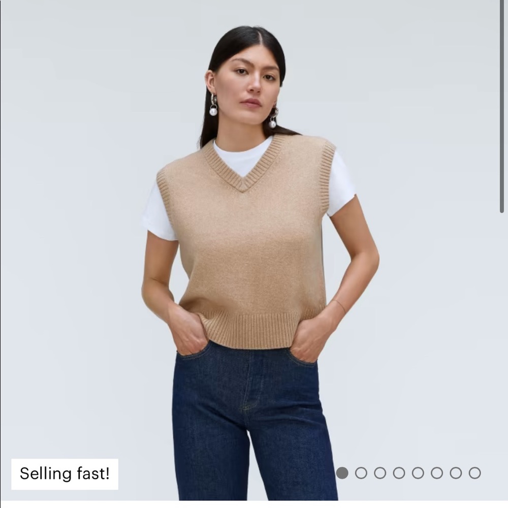Everlane Cashmere Vest